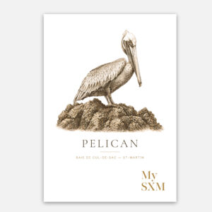 Poster Pélican