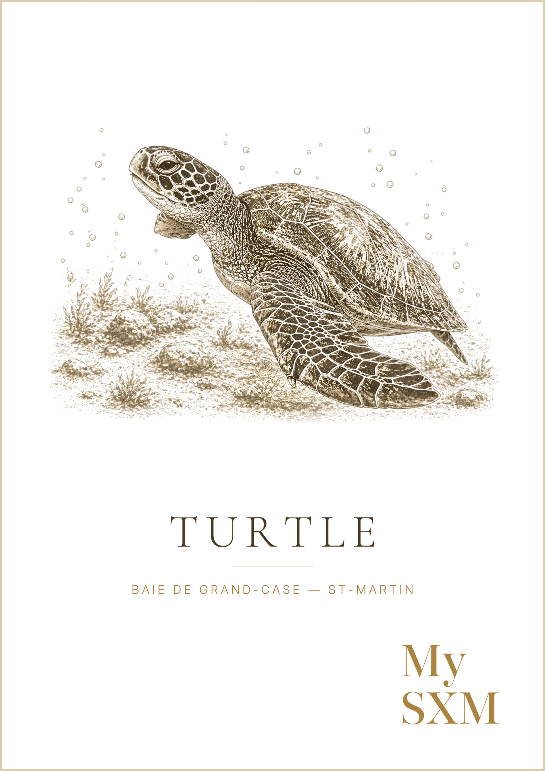 Sea Turtle Poster – Under the Surface | My SXM - Image 2