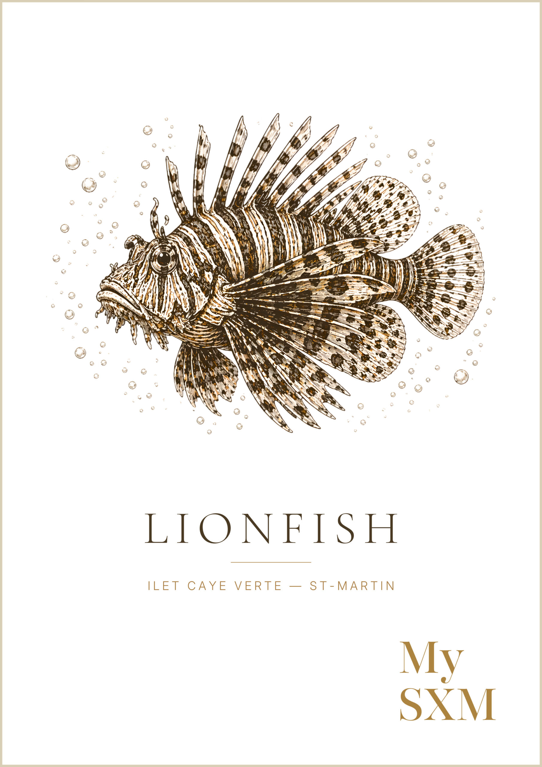 Poster Poisson-Lion – Under the Surface | My SXM – Image 2