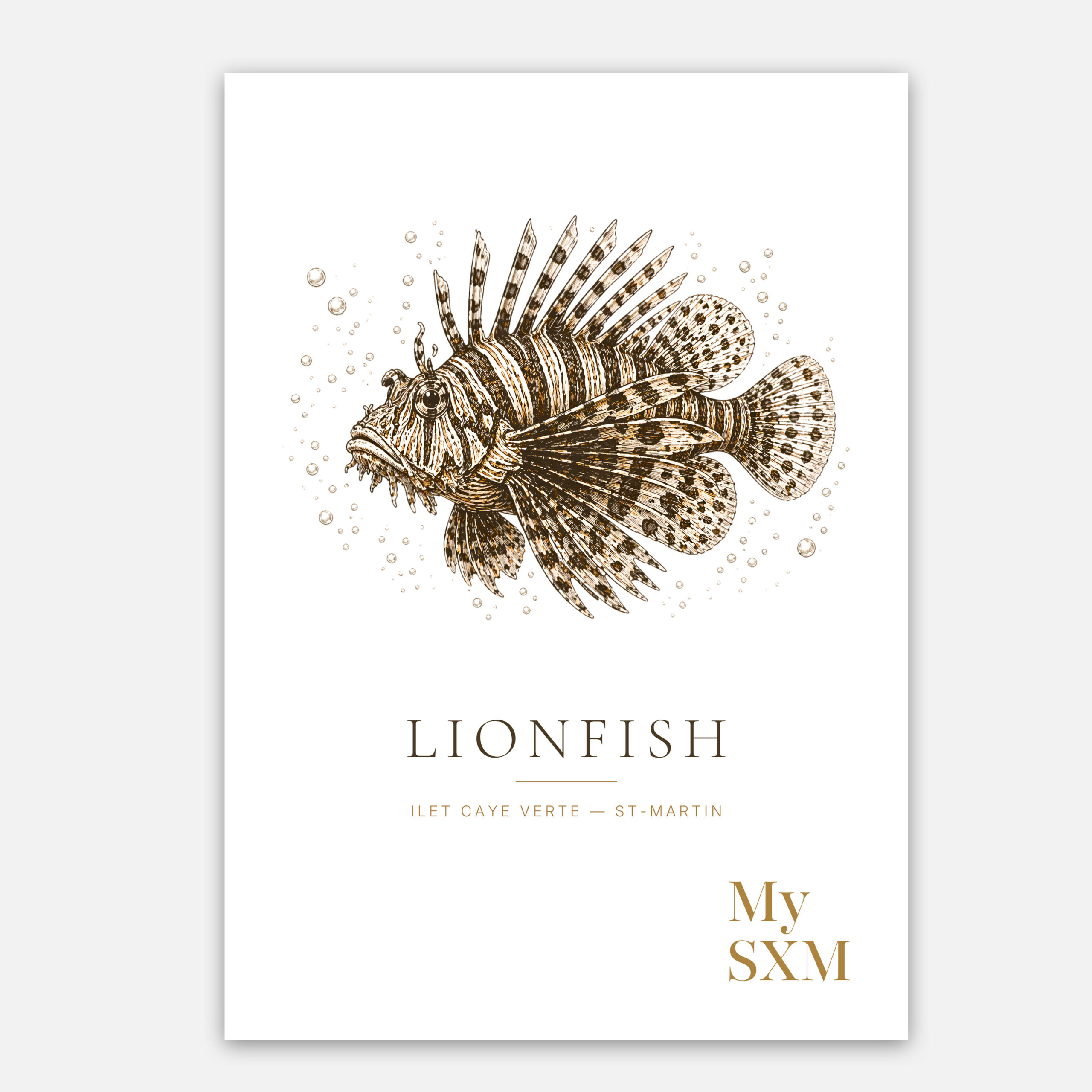 Poster Poisson-Lion – Under the Surface | My SXM